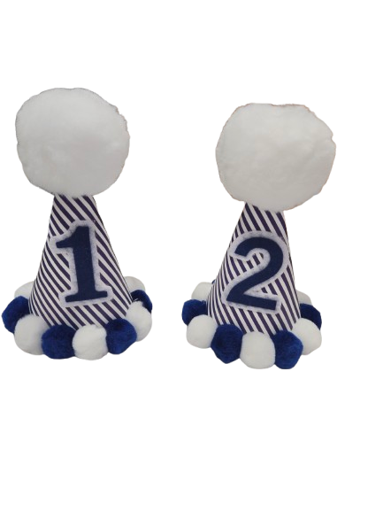 Navy Stripe Party Hat*